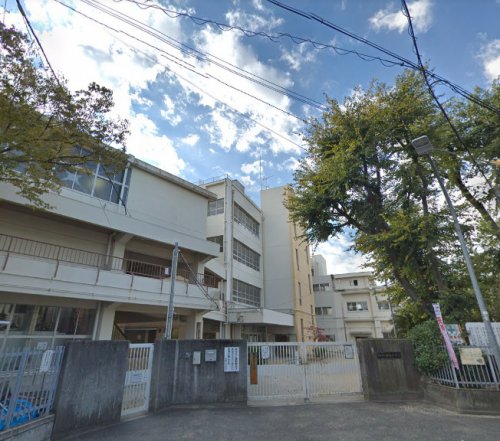 小学校　高石市立高陽小学校（小学校）まで859m