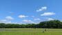 公園　光が丘公園（公園）まで372m
