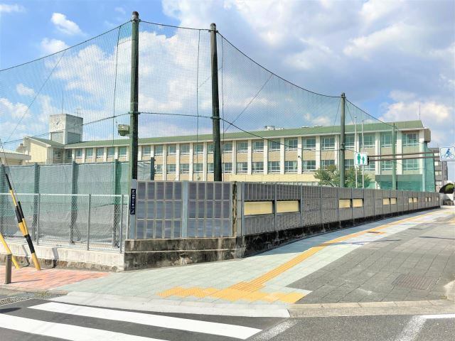 小学校　名古屋市立白鳥小学校（小学校）まで1072m