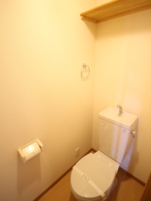 サニ-ハウスのトイレ写真