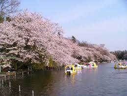 公園　都立井の頭公園(井の頭公園駅口)（公園）まで709m