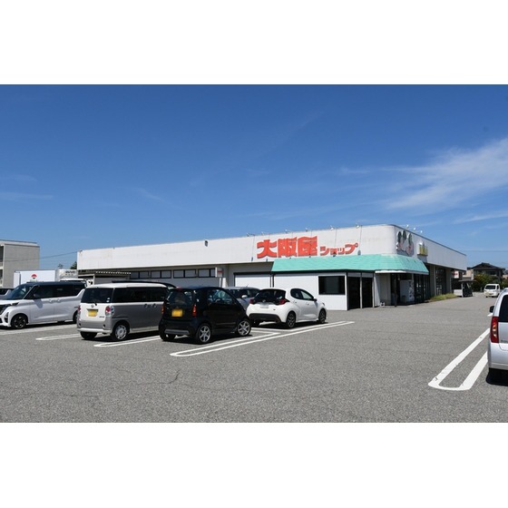 スーパー　大阪屋ショップ婦中店（スーパー）まで463m