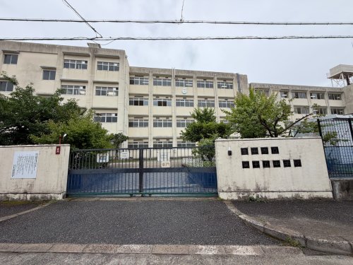 中学校　豊中市立第十五中学校（中学校）まで695m