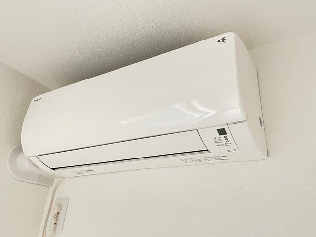 PLAIN3437のその他写真