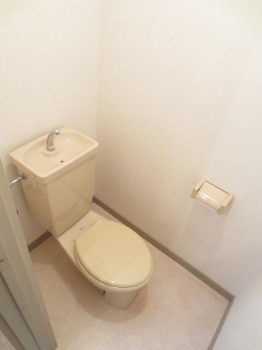 アンボワ-ズ31のトイレ写真
