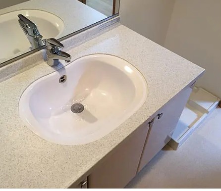洗面設備　写真は同タイプ住居です。