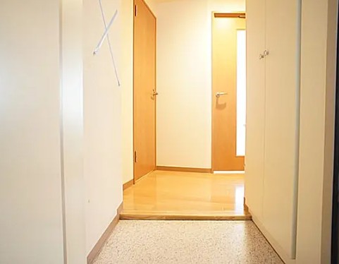 玄関　写真は同タイプ住居です。