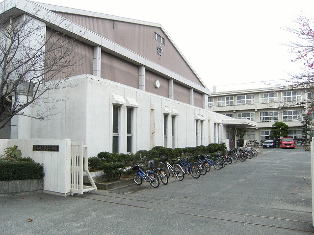 小学校　岡山市立伊島小学校（小学校）まで379m
