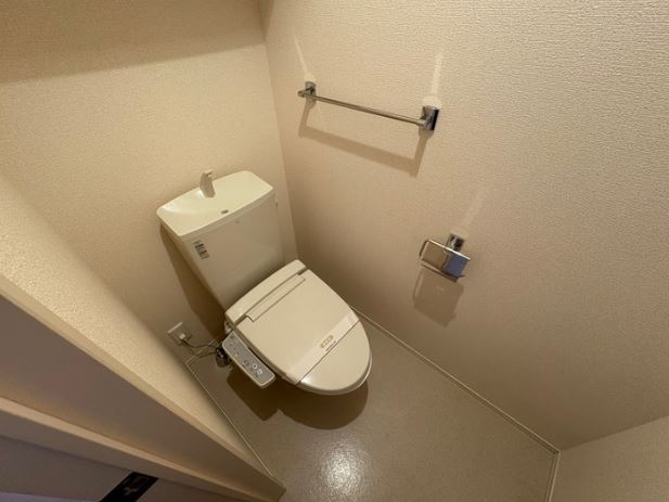 ＪＲ土讃線 土佐山田駅 徒歩19分 2階建 築12年のトイレ写真