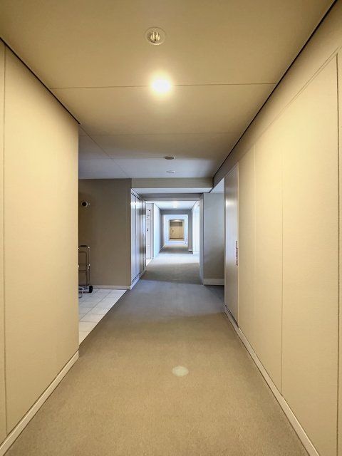 ザ・ハシモトタワーのその他写真