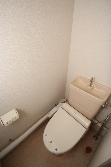 トイレ　リフォーム前の写真になります。