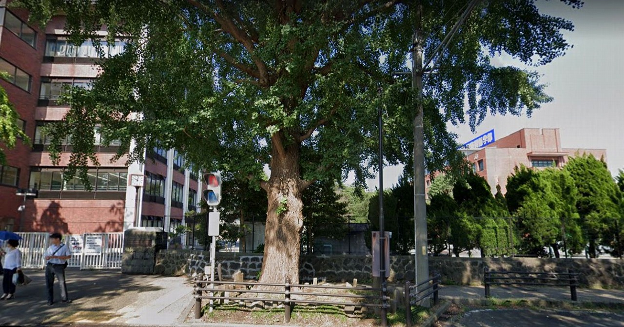 大学・短大　私立日本大学国際関係学部（大学・短大）まで1215m