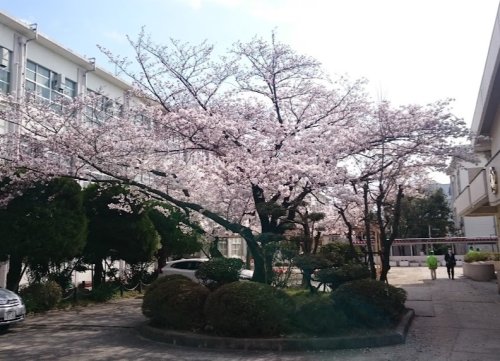 【名古屋市守山区瀬古東のマンションの小学校】