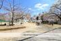 公園　玉津公園（公園）まで220m