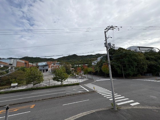 眺望　※別部屋の写真です