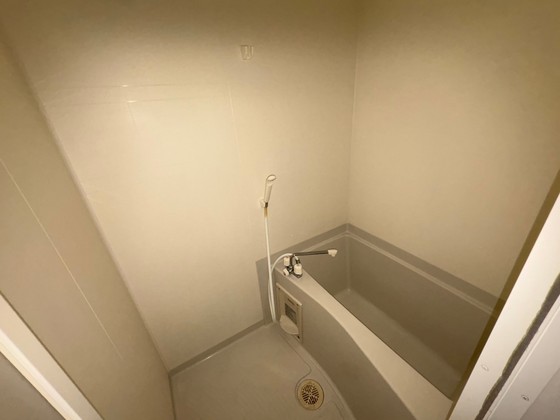 バス・シャワールーム　※別部屋の写真です