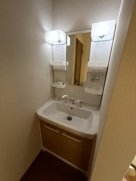 洗面設備　便利なシャンプードレッサー付き