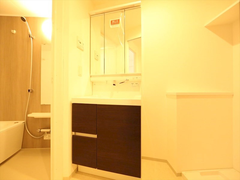 洗面設備　脱衣所　独立洗面台（シャンプードレッサー付）収納スペース有