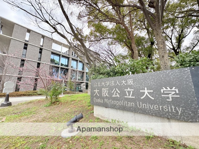 大学・短大　大阪公立（大学・短大）まで733m