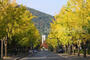 大学・短大　岡山大学 津島キャンパス（大学・短大）まで1545m