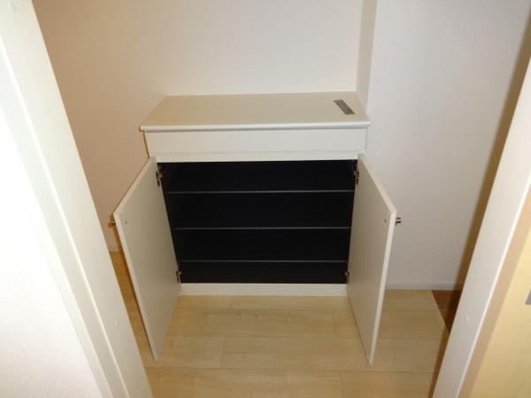 玄関　※同じ施工会社の別物件の写真です