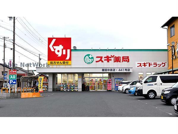 ドラックストア　スギ薬局磐田中泉店（ドラッグストア）まで703m