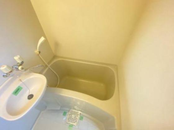 バス・シャワールーム　※別部屋の写真です