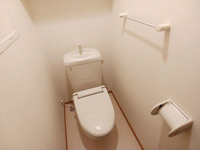 ＪＲ高山本線 中川辺駅 徒歩99分 2階建 築20年のトイレ写真