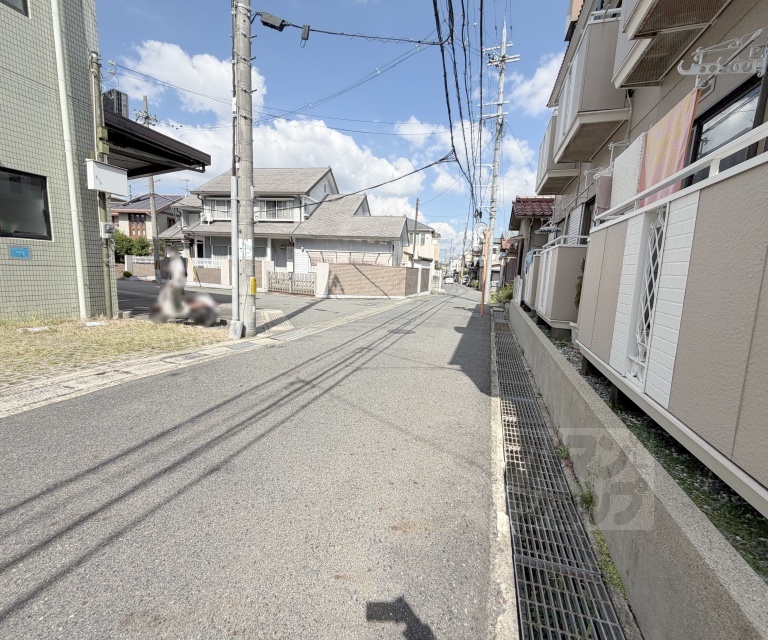 サンシティ半白のその他写真
