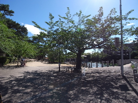 【神戸市東灘区住吉山手のマンションの公園】