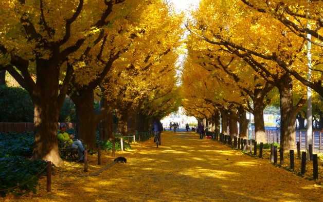 その他　明治神宮外苑（その他）まで1090m