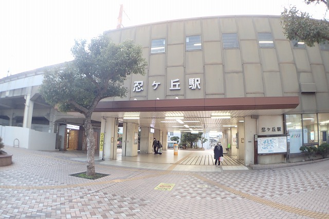 その他　忍ヶ丘駅（その他）まで269m