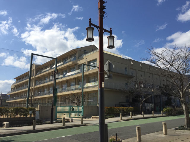 小学校　神戸市立灘小学校（小学校）まで555m