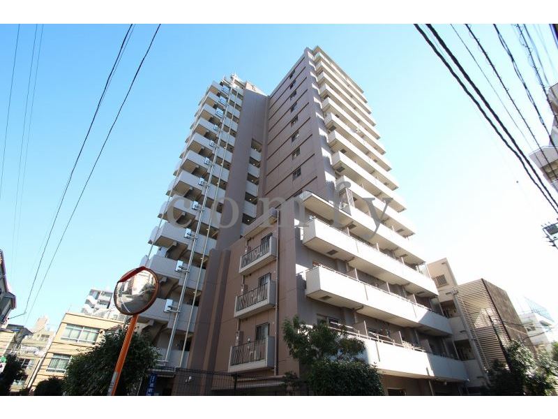 建物外観　２００８年８月竣工・分譲マンション