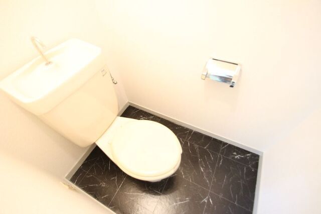 グレースメゾンムラセのトイレ写真
