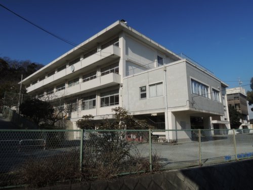 小学校　鎌倉市立今泉小学校（小学校）まで681m
