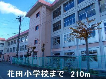 小学校　花田小学校（小学校）まで210m