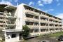 生野屋駅より徒歩30分 築55年11ヶ月 4階建の賃貸物件