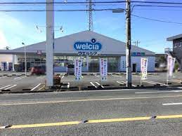 ドラックストア　ウエルシア富士宮淀平店（ドラッグストア）まで667m