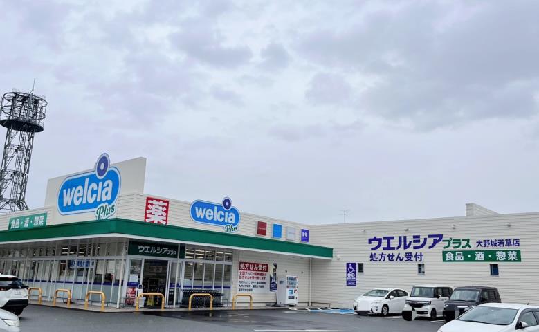 スーパー　ウェルシア若草店（スーパー）まで733m