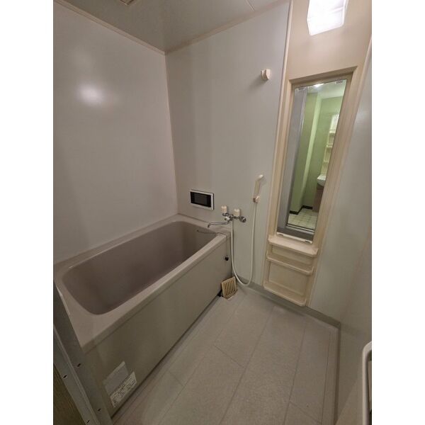 バス・シャワールーム　室内写真は別部屋の写真です。