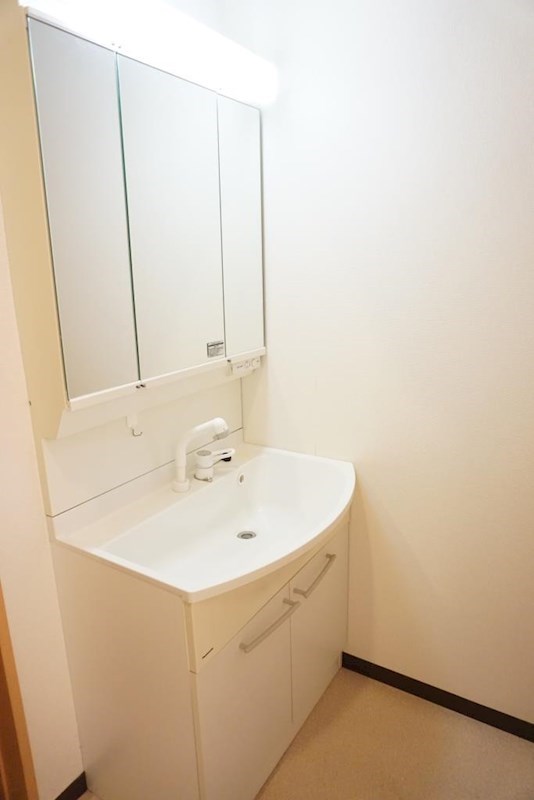 洗面設備　忙しい朝にも嬉しいシャワードレッサー