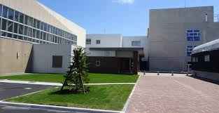 小学校　札幌市立本通小学校（小学校）まで1100m