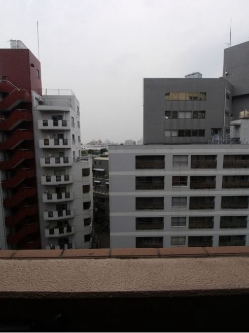 眺望　（別タイプ参考写真）パレステュディオ目白　豊島区雑司が谷３