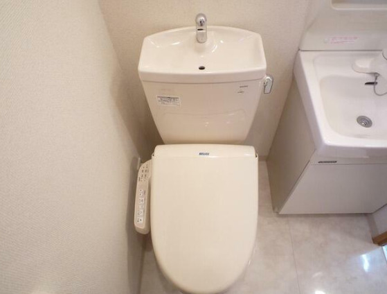 トイレ　トイレです