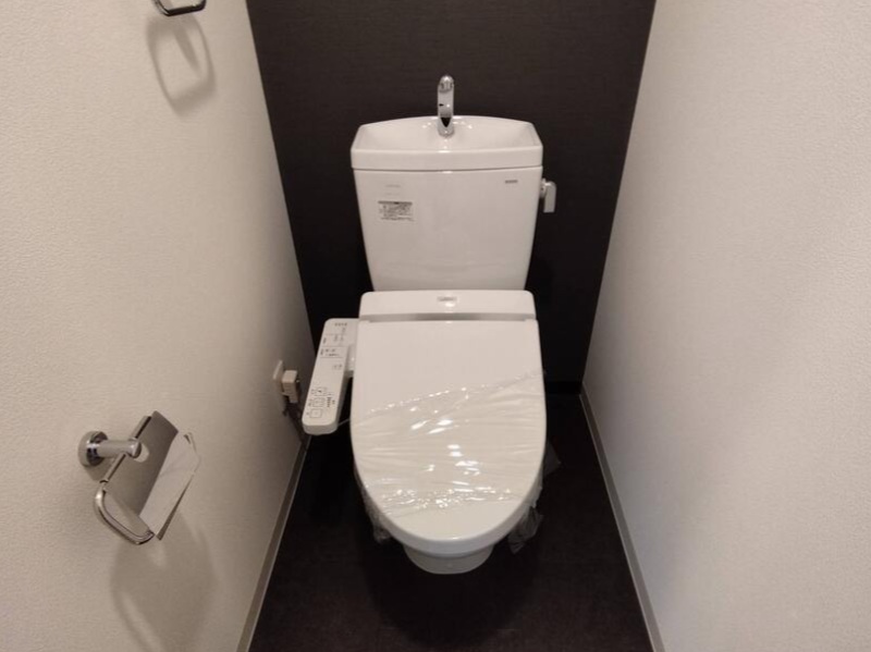 アール京都グレイスのトイレ写真