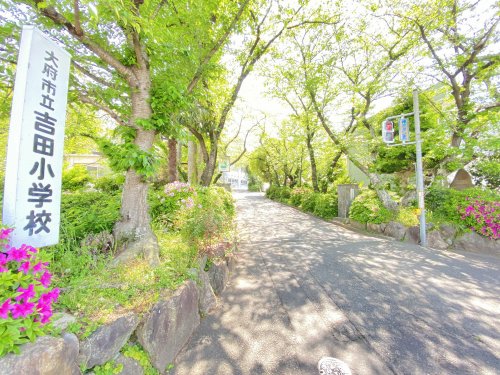 小学校　吉田小学校（小学校）まで505m