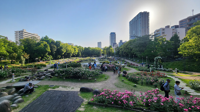 公園　靱公園（公園）まで575m