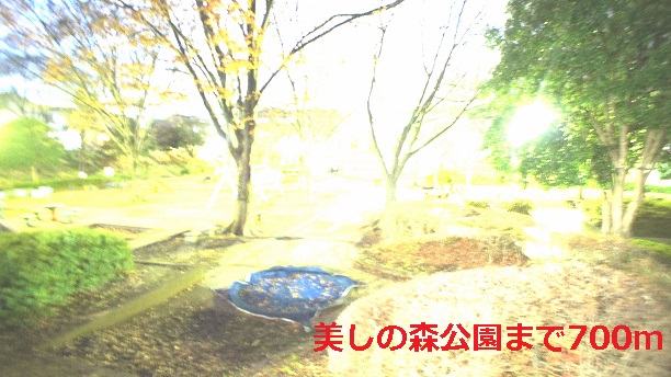 公園　美しの森公園（公園）まで700m