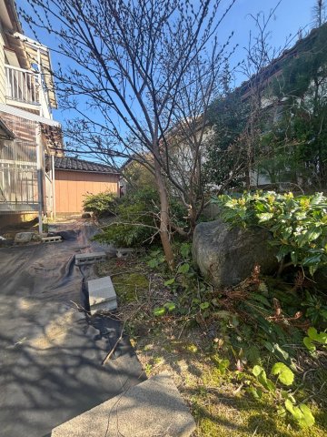 庭